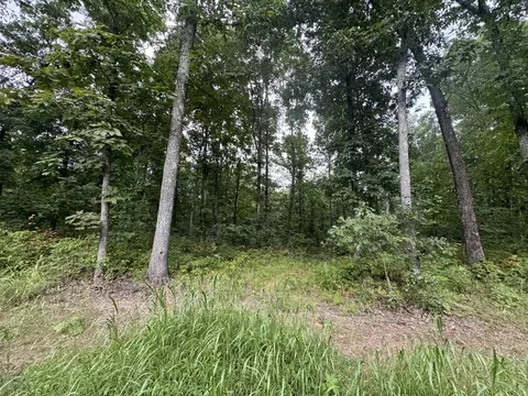 Other - 000 Iuka Rd, Iuka, IL 62849 photo 9 of 23