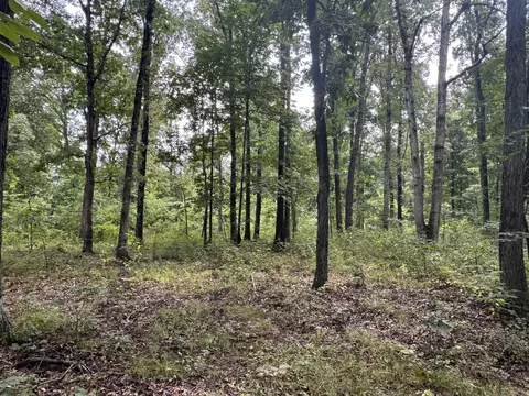 Other - 000 Iuka Rd, Iuka, IL 62849 photo 12 of 23