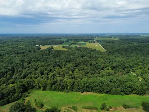 View/Area - 000 Iuka Rd, Iuka, IL 62849 photo 7 of 13