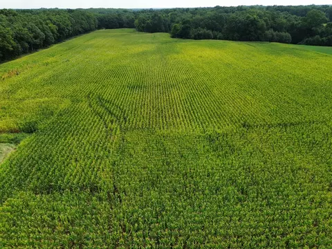 Other - 000 Iuka Rd, Iuka, IL 62849 photo 21 of 23