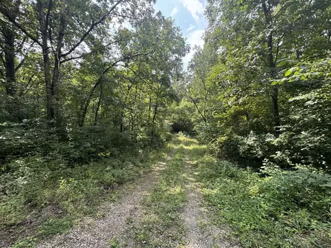 Other - 000 Iuka Rd, Iuka, IL 62849 photo 15 of 23