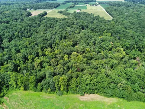 View/Area - 000 Iuka Rd, Iuka, IL 62849 photo 8 of 13