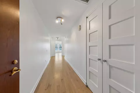 Entry Way - 57 E Delaware Pl #1802, Chicago, IL 60611 photo 2 of 3
