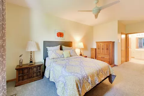 Bedroom - 21119 W Braxton Ln, Plainfield, IL 60544 photo 2 of 7