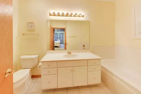 Bath - 21119 W Braxton Ln, Plainfield, IL 60544 photo 1 of 4