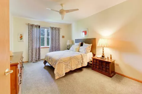 Bedroom - 21119 W Braxton Ln, Plainfield, IL 60544 photo 1 of 7