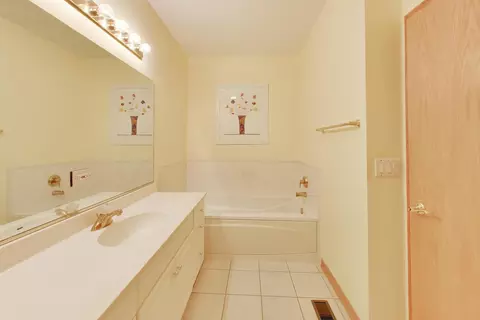 Bath - 21119 W Braxton Ln, Plainfield, IL 60544 photo 3 of 4