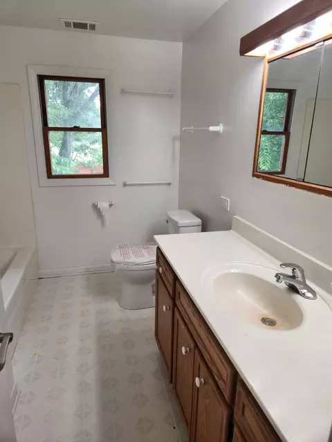 Bath - 8 Wayne Ct, Park Forest, IL 60466 photo 4 of 4