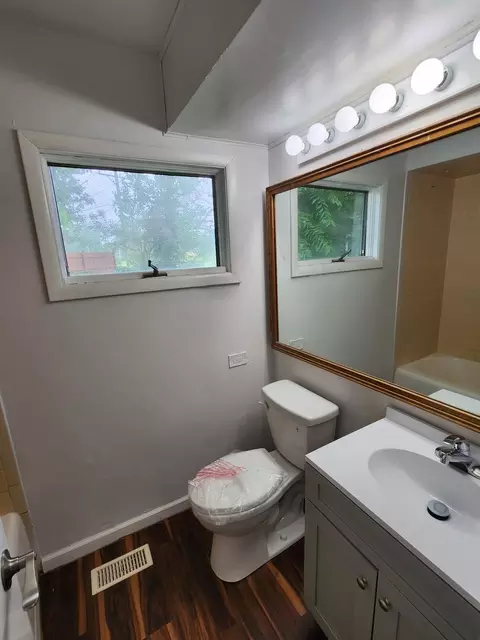 Bath - 8 Wayne Ct, Park Forest, IL 60466 photo 2 of 4