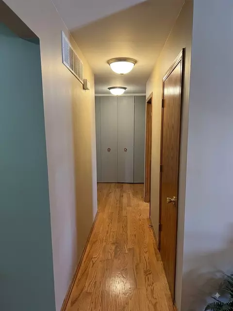 Entry Way - 4120 Sumter Dr, Matteson, IL 60443 photo 2 of 2