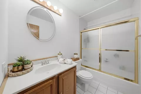Bath - 223 Miller St, Beecher, IL 60401 photo 3 of 3