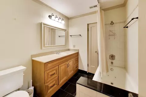 Bath - 1240 William St, River Forest, IL 60305 photo 2 of 4
