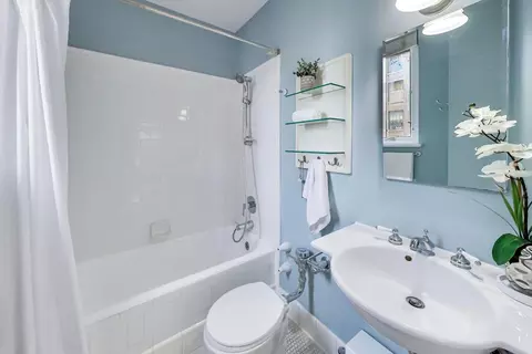 Bath - 222 E Chestnut St #9D, Chicago, IL 60611 photo 1 of 2