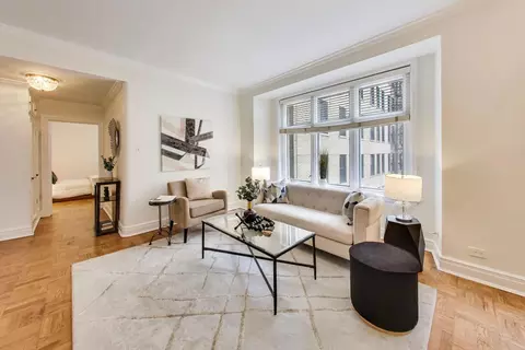 Living - 222 E Chestnut St #9D, Chicago, IL 60611 photo 2 of 2