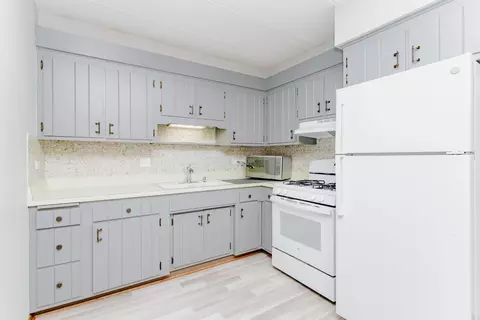 Kitchen - 1633 River St #2A, Des Plaines, IL 60016 photo 2 of 2