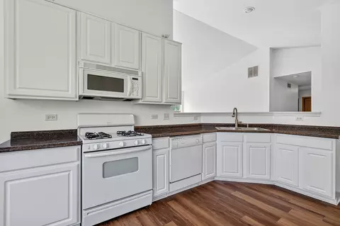 Kitchen - 24038 W Walnut Cir #24038, Plainfield, IL 60585 photo 2 of 4