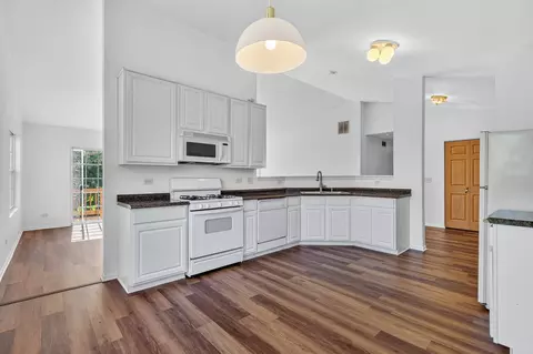 Kitchen - 24038 W Walnut Cir #24038, Plainfield, IL 60585 photo 1 of 4