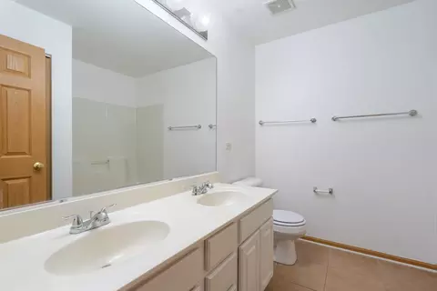 Bath - 24038 W Walnut Cir #24038, Plainfield, IL 60585 photo 2 of 2