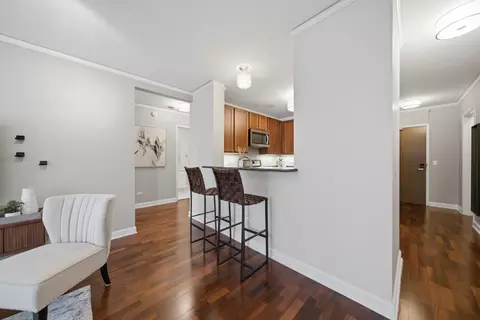 Other - 450 E Waterside Dr #2605, Chicago, IL 60601 photo 2 of 9