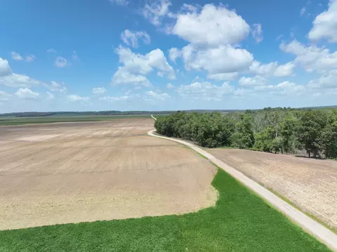 Other - tbd County Road 2875e, Ellery, IL 62863 photo 3 of 5