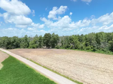 Other - tbd County Road 2875e, Ellery, IL 62863 photo 4 of 5