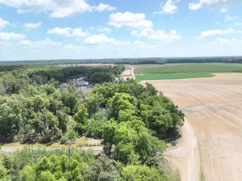 View/Area - tbd County Road 2875e, Ellery, IL 62863 photo 10 of 10