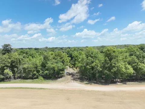 View/Area - tbd County Road 2875e, Ellery, IL 62863 photo 9 of 10