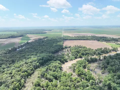 View/Area - tbd County Road 2875e, Ellery, IL 62863 photo 4 of 10