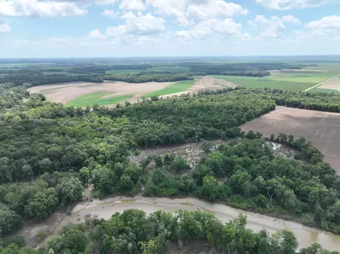 View/Area - tbd County Road 2875e, Ellery, IL 62863 photo 2 of 10