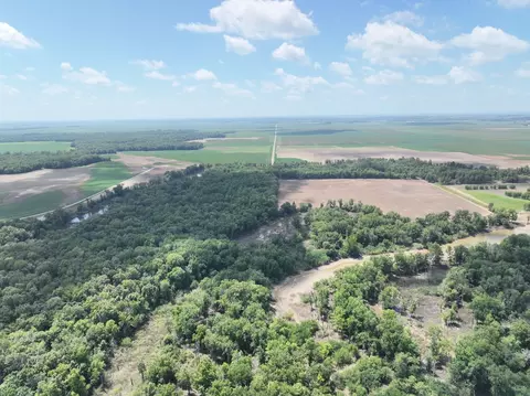 View/Area - tbd County Road 2875e, Ellery, IL 62863 photo 3 of 10