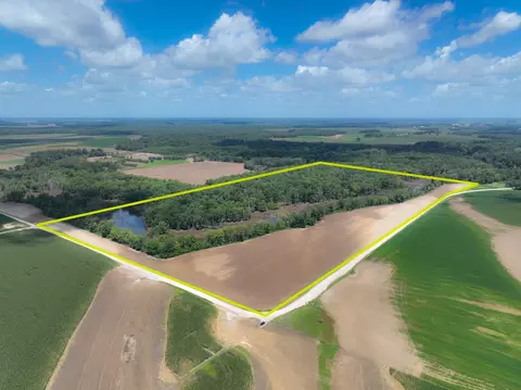 tbd W County Road 2875e, Ellery, IL 62863