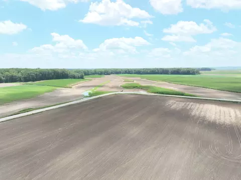 View/Area - tbd W County Road 2875e, Ellery, IL 62863 photo 18 of 18