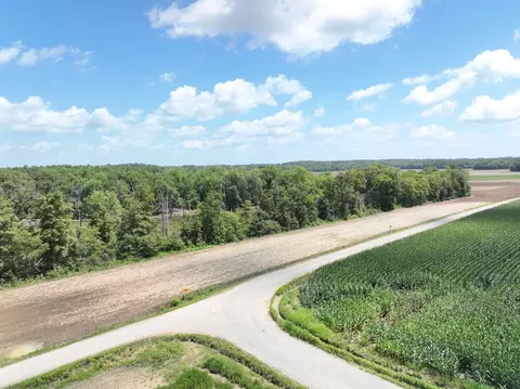 Other - tbd W County Road 2875e, Ellery, IL 62863 photo 2 of 3