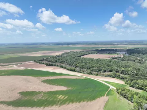 View/Area - tbd W County Road 2875e, Ellery, IL 62863 photo 7 of 18