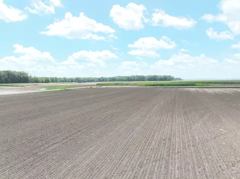 Other - tbd W County Road 2875e, Ellery, IL 62863 photo 3 of 3