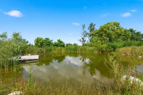 Other - 30640 S Ashland Ave, Beecher, IL 60401 photo 21 of 21