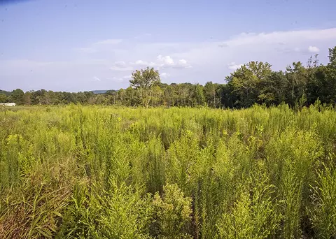 915 Sullivan Rd, Makanda, IL 62958 photo 6