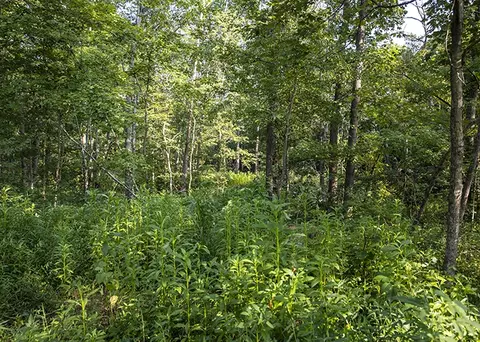 915 Sullivan Rd, Makanda, IL 62958 photo 9