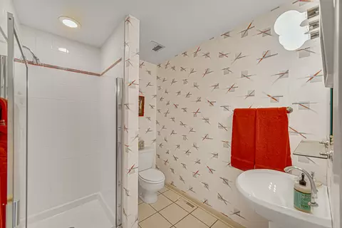 Bath - 68 Graymoor Ln, Olympia Fields, IL 60461 photo 5 of 5