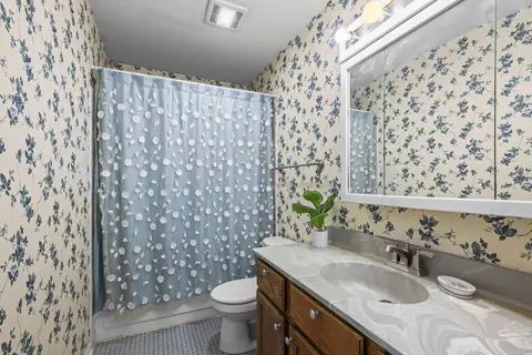 Bath - 1233 Old Timber Ct, Hoffman Estates, IL 60192 photo 2 of 3