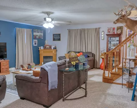 Living - 708 E Walnut St, Steeleville, IL 62288 photo 5 of 5
