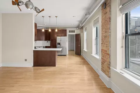Living - 1117 W Fry St #5, Chicago, IL 60642 photo 6 of 6