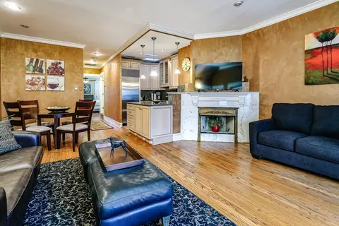 Living - 57 E Cedar St, Chicago, IL 60611 photo 12 of 13