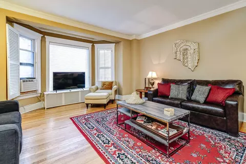 Living - 57 E Cedar St, Chicago, IL 60611 photo 6 of 13