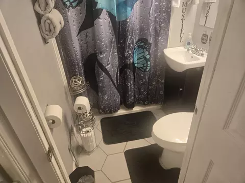 Bath - 16258 Laflin Ave, Markham, IL 60428 photo 5 of 7