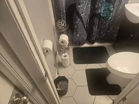 Bath - 16258 Laflin Ave, Markham, IL 60428 photo 2 of 7