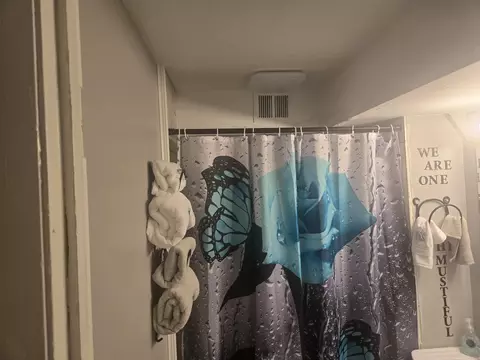 Bath - 16258 Laflin Ave, Markham, IL 60428 photo 3 of 7