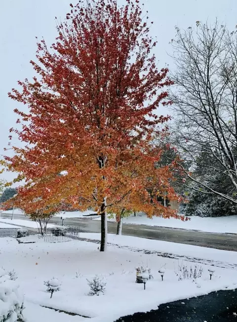 Other - 2105 Bent Tree Dr, Geneva, IL 60134 photo 3 of 5