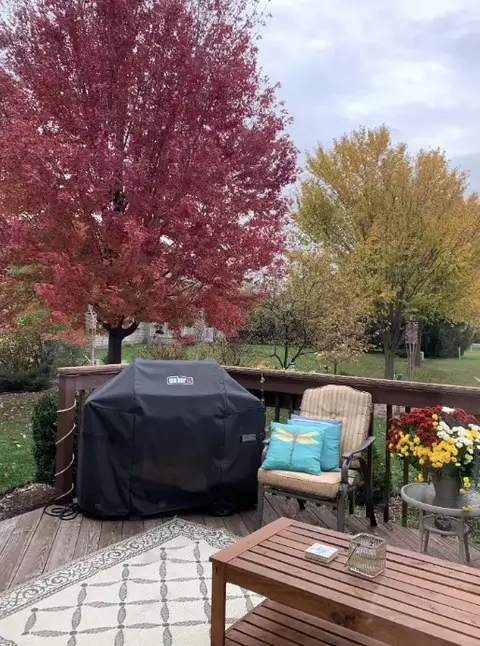 Exterior - 2105 Bent Tree Dr, Geneva, IL 60134 photo 6 of 7