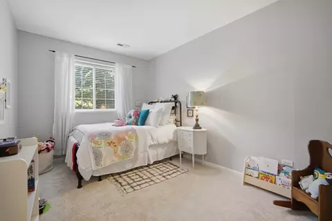 Bedroom - 2017 Jeffrey Ln #2017, Elgin, IL 60123 photo 2 of 2